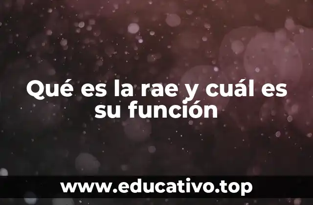 Qué es la rae y cuál es su función