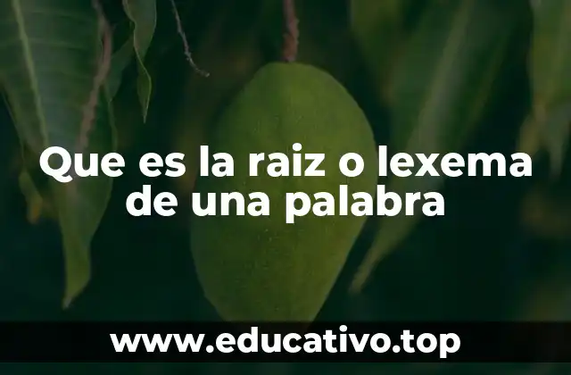 Que es la raiz o lexema de una palabra