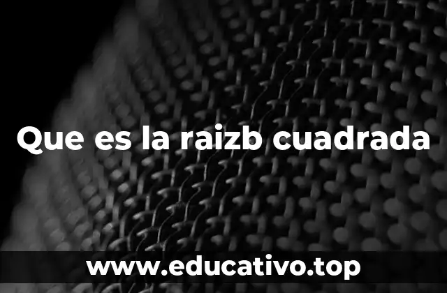 Que es la raizb cuadrada