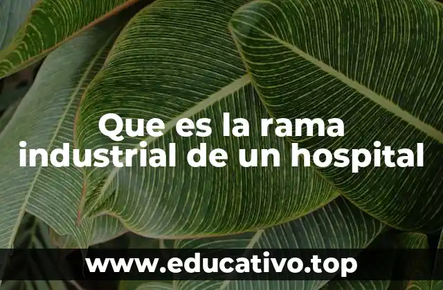 La importancia de la producción interna en el entorno sanitario