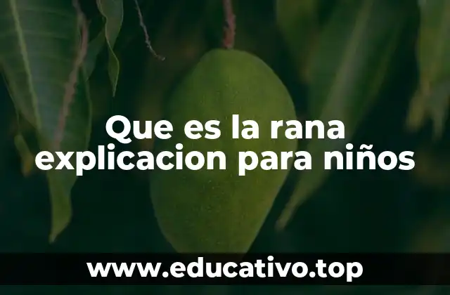 Que es la rana explicacion para niños