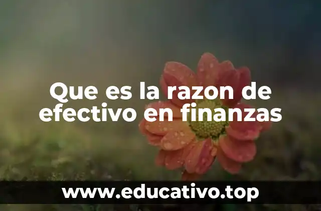 Que es la razon de efectivo en finanzas