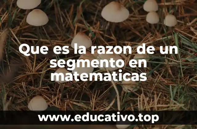 Que es la razon de un segmento en matematicas