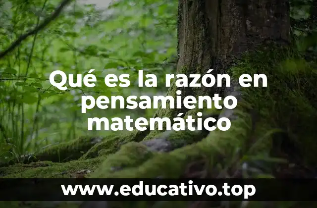 Qué es la razón en pensamiento matemático