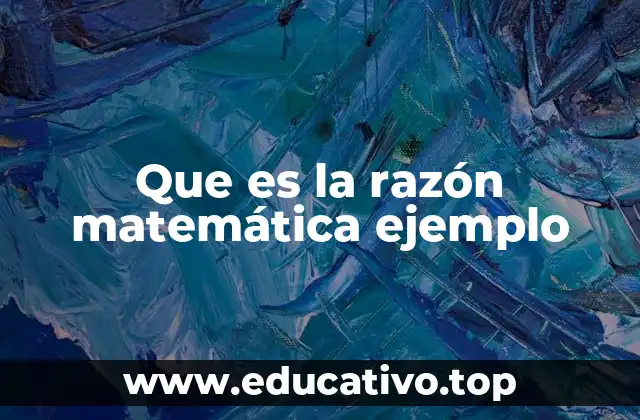 La importancia de entender las razones en el día a día