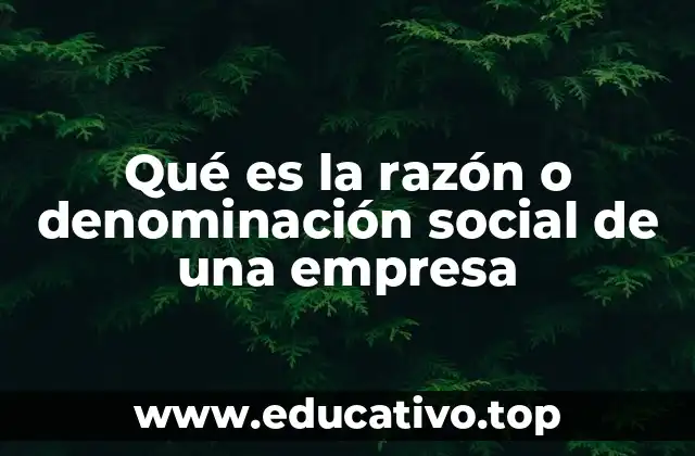 Qué es la razón o denominación social de una empresa