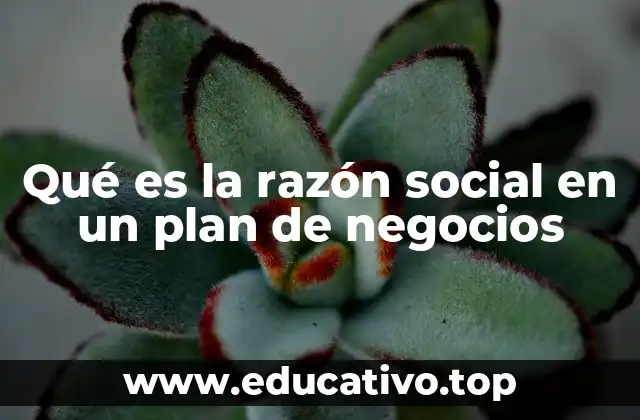 Qué es la razón social en un plan de negocios