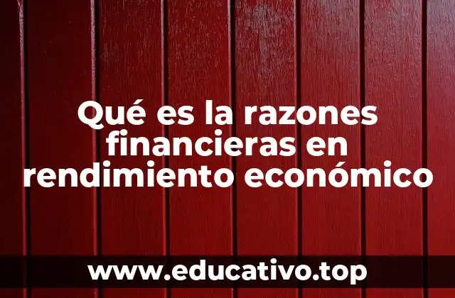 Qué es la razones financieras en rendimiento económico