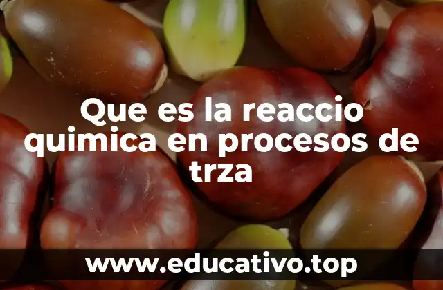 Que es la reaccio quimica en procesos de trza