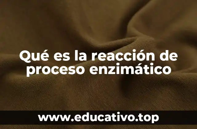 Qué es la reacción de proceso enzimático