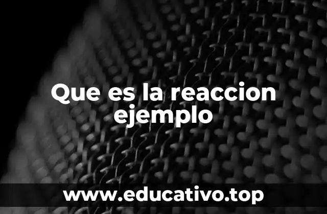 Que es la reaccion ejemplo