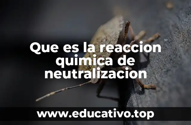 Que es la reaccion quimica de neutralizacion