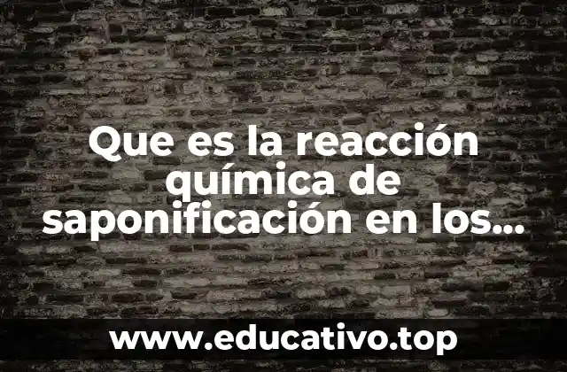 Que es la reacción química de saponificación en los lípidos