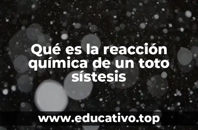 Qué es la reacción química de un toto sístesis