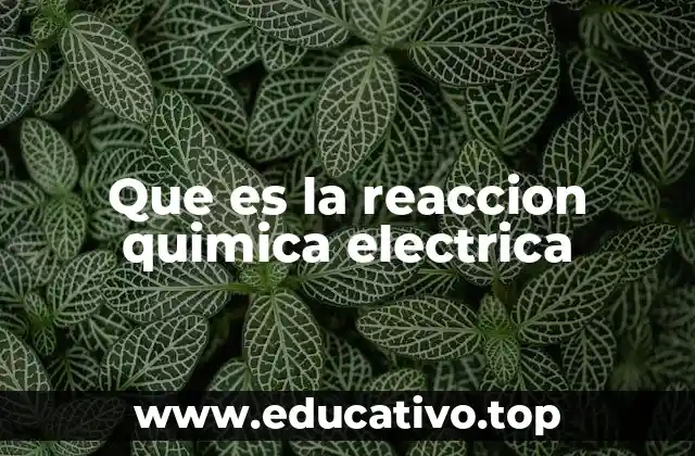 Que es la reaccion quimica electrica