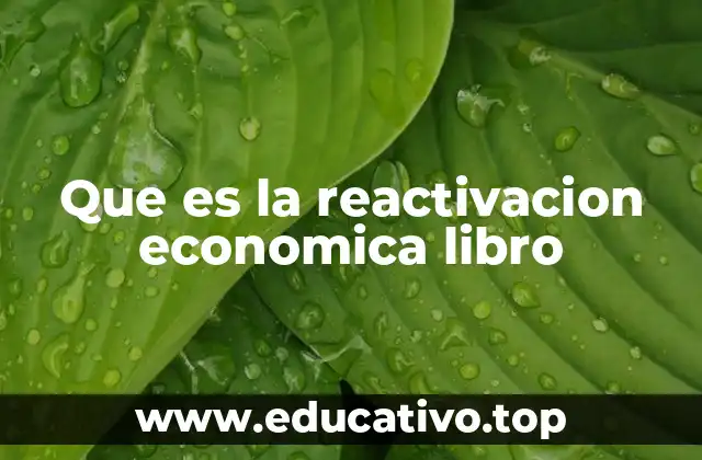 Que es la reactivacion economica libro