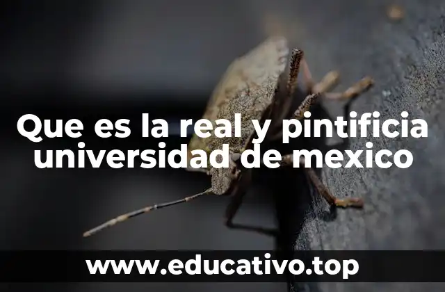Que es la real y pintificia universidad de mexico