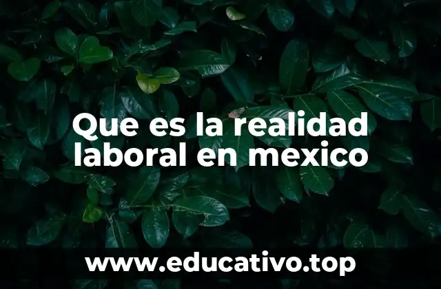 Que es la realidad laboral en mexico