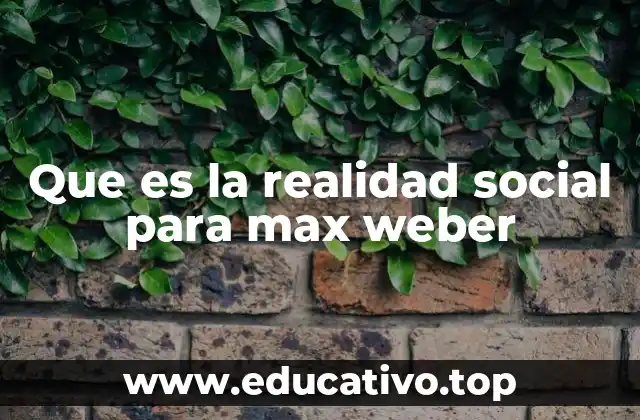 Que es la realidad social para max weber