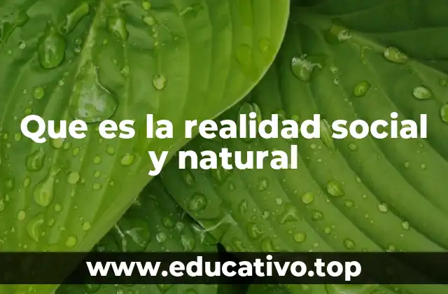 Que es la realidad social y natural