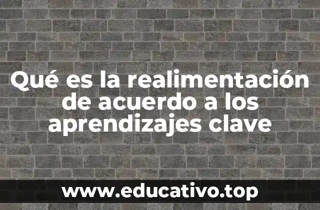Qué es la realimentación de acuerdo a los aprendizajes clave
