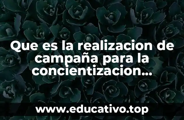 Que es la realizacion de campaña para la concientizacion ambiental