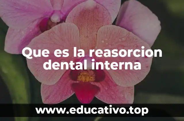 Que es la reasorcion dental interna