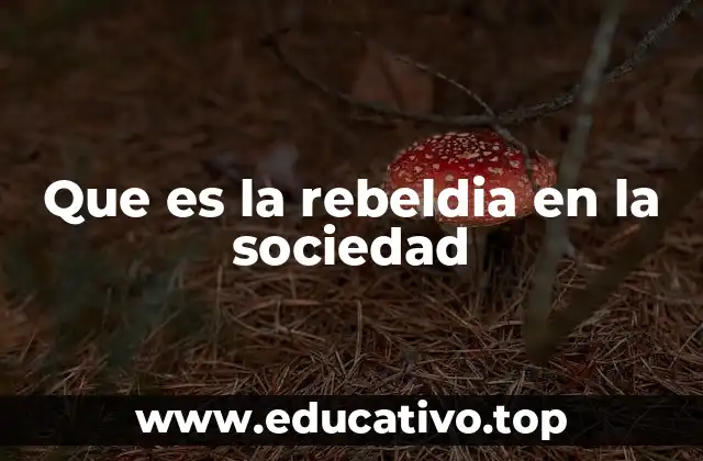 Que es la rebeldia en la sociedad