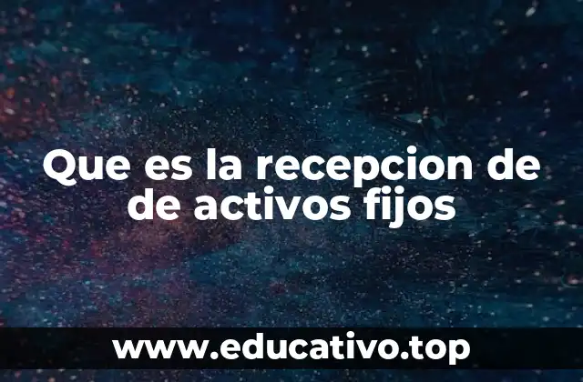 Que es la recepcion de de activos fijos