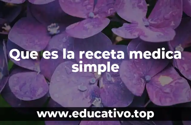 Que es la receta medica simple