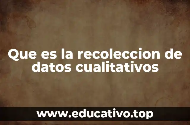 Que es la recoleccion de datos cualitativos