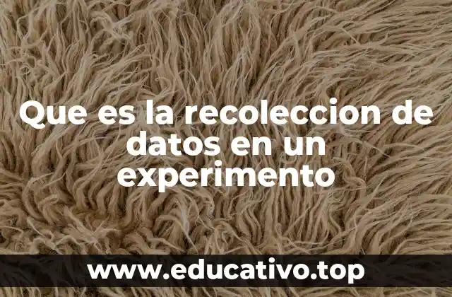 Que es la recoleccion de datos en un experimento