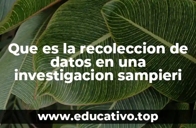 El proceso de obtención de información en la investigación