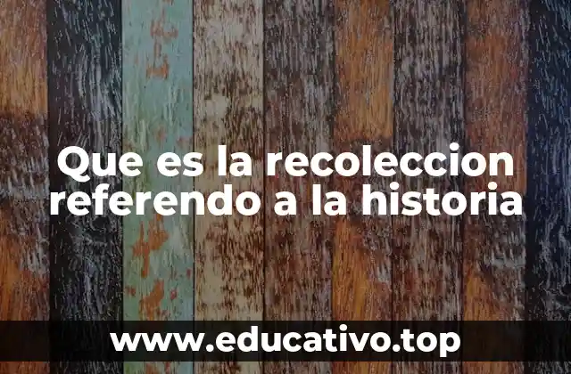Que es la recoleccion referendo a la historia