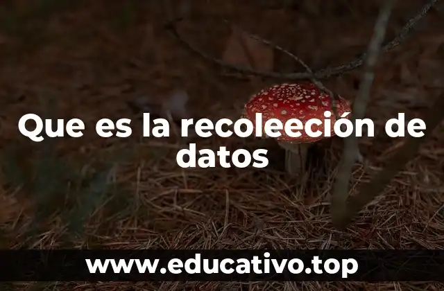 Que es la recoleeción de datos