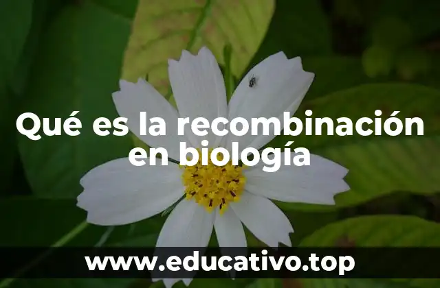Qué es la recombinación en biología