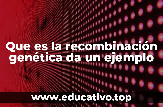 Que es la recombinación genética da un ejemplo