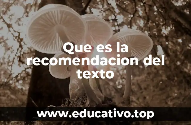 Que es la recomendacion del texto