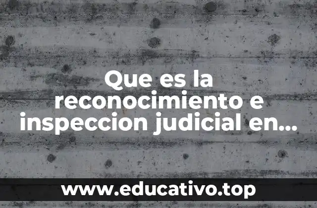 Que es la reconocimiento e inspeccion judicial en materia mercantil