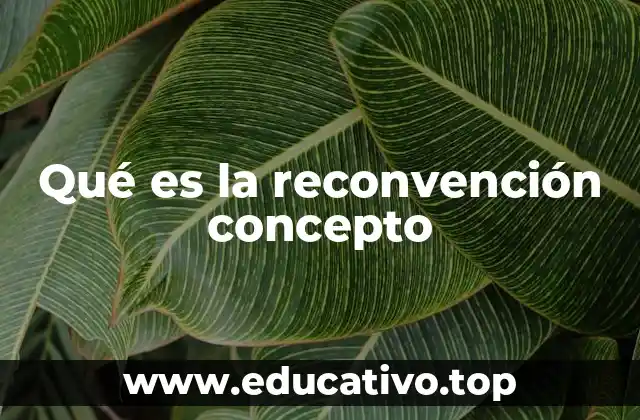 Qué es la reconvención concepto