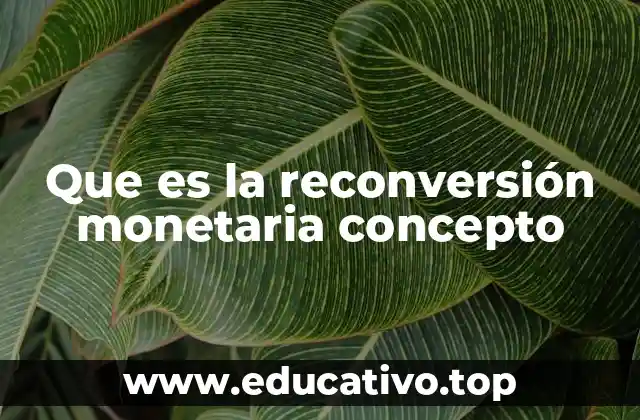 Que es la reconversión monetaria concepto