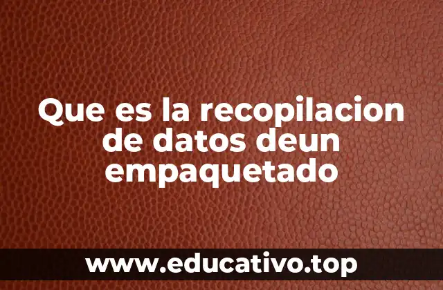 Que es la recopilacion de datos deun empaquetado