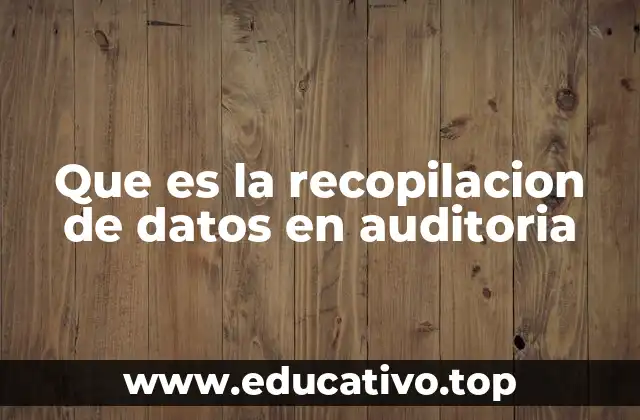 Que es la recopilacion de datos en auditoria
