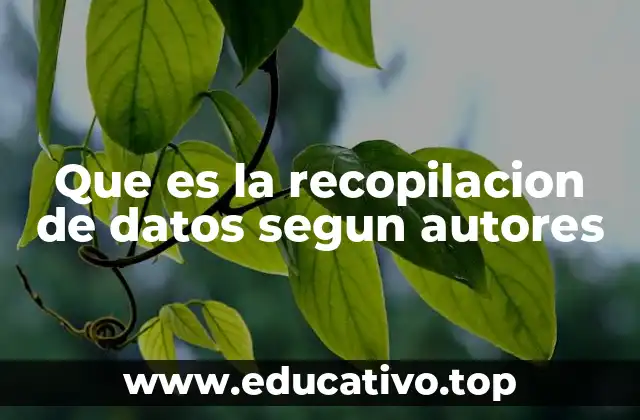 Que es la recopilacion de datos segun autores