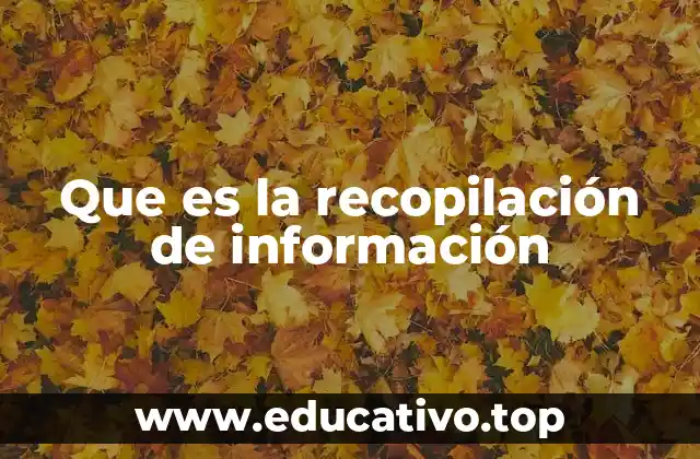 Que es la recopilación de información