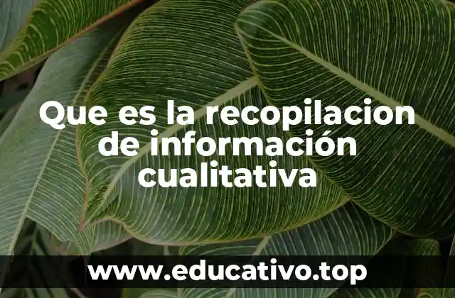 Que es la recopilacion de información cualitativa