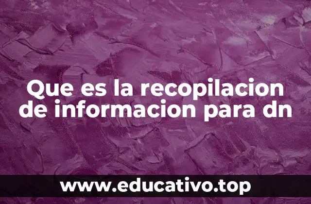 Que es la recopilacion de informacion para dn