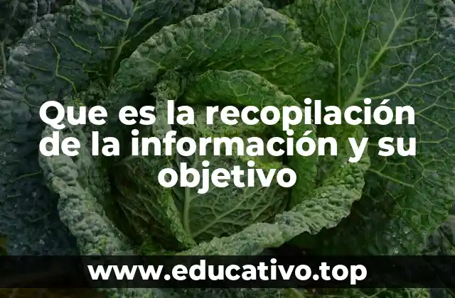 Que es la recopilación de la información y su objetivo
