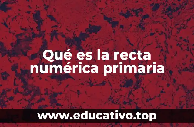 Qué es la recta numérica primaria