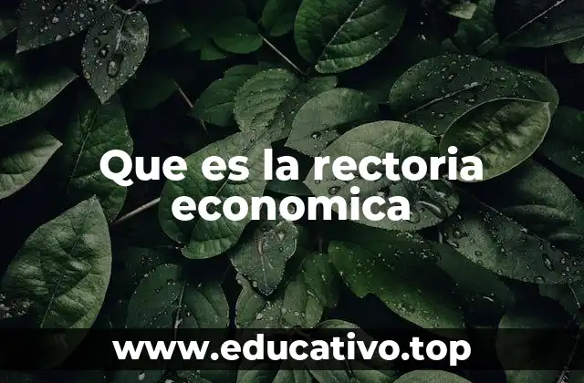 La importancia de la gestión financiera en la educación superior